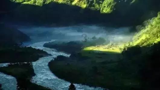 蓝狐视频
