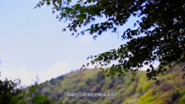 有趣算术题