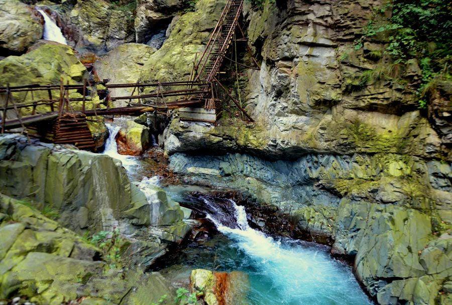 中国石化无锡石油 肯德基汽车穿梭餐厅开业
